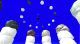 roadside_tn/_ec_shedge.jpg, 80 x 44, 2K