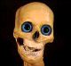 roadside_tn/_s_skull.jpg, 80 x 74, 2K